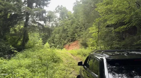 1210 Laurel Lick Road Pigeon Forge TN 37862