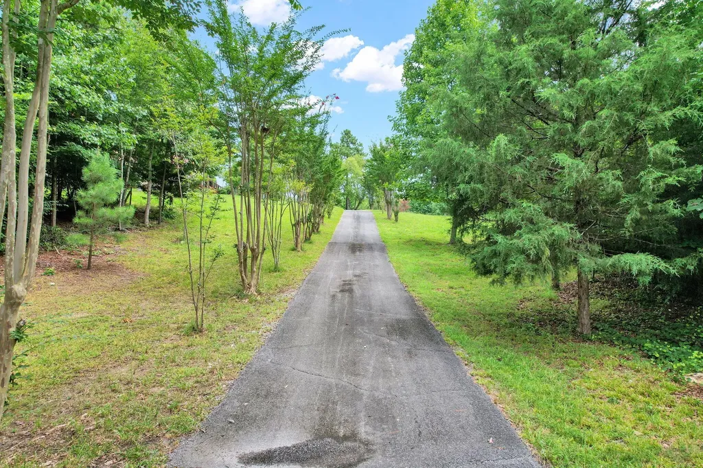 1751 County Road 50 Riceville TN 37370