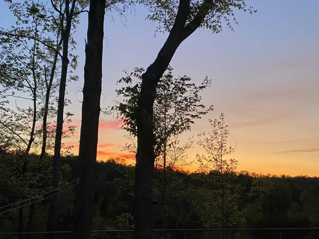 1751 County Road 50 Riceville TN 37370