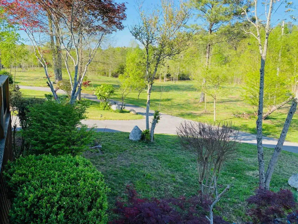 1751 County Road 50 Riceville TN 37370