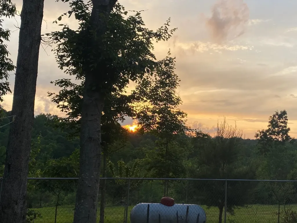 1751 County Road 50 Riceville TN 37370