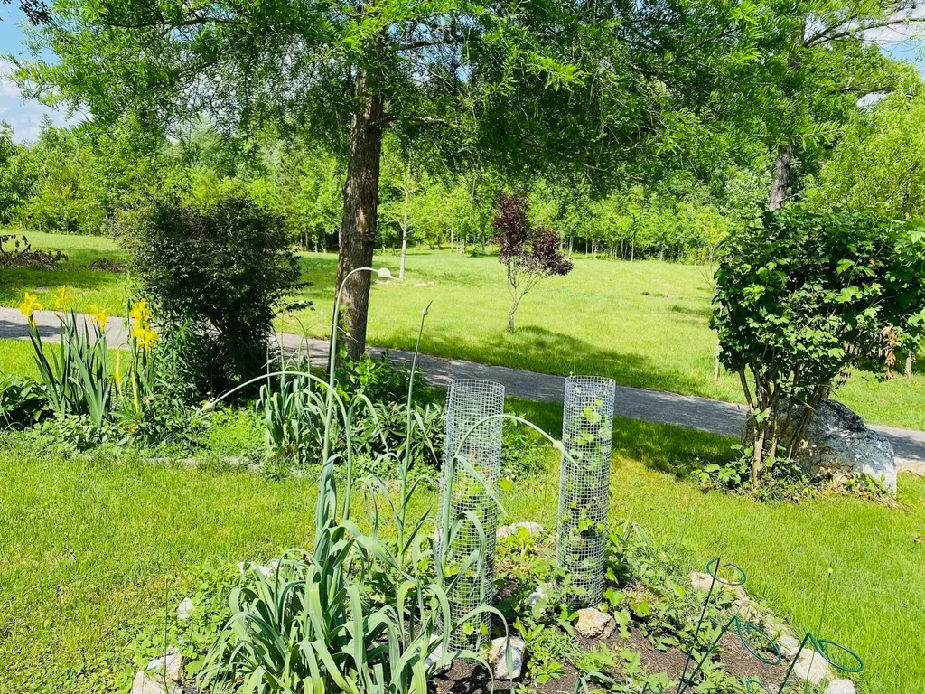 1751 County Road 50 Riceville TN 37370