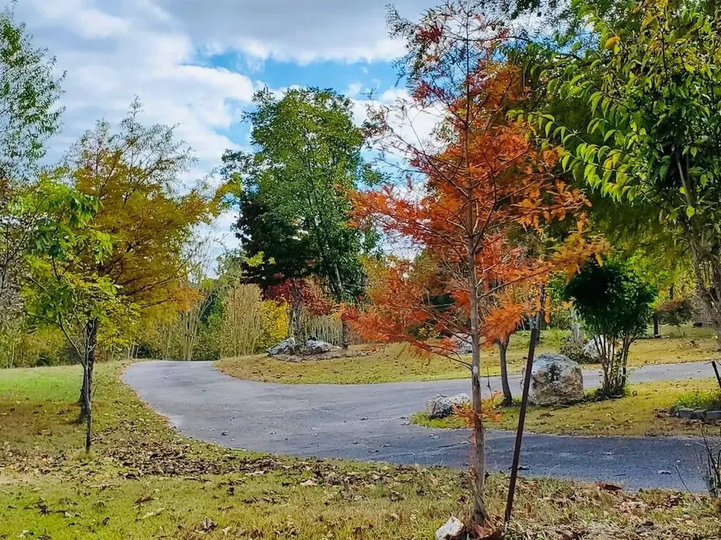 1751 County Road 50 Riceville TN 37370