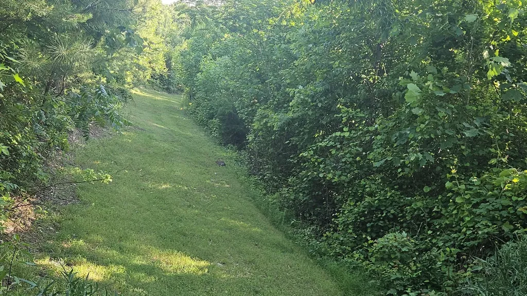 1751 County Road 50 Riceville TN 37370