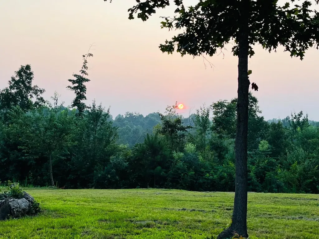 1751 County Road 50 Riceville TN 37370