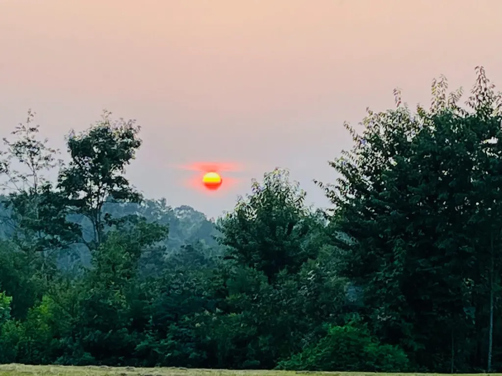 1751 County Road 50 Riceville TN 37370