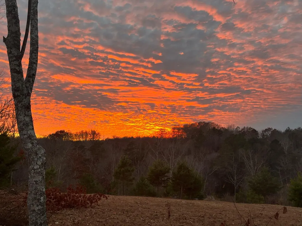 1751 County Road 50 Riceville TN 37370