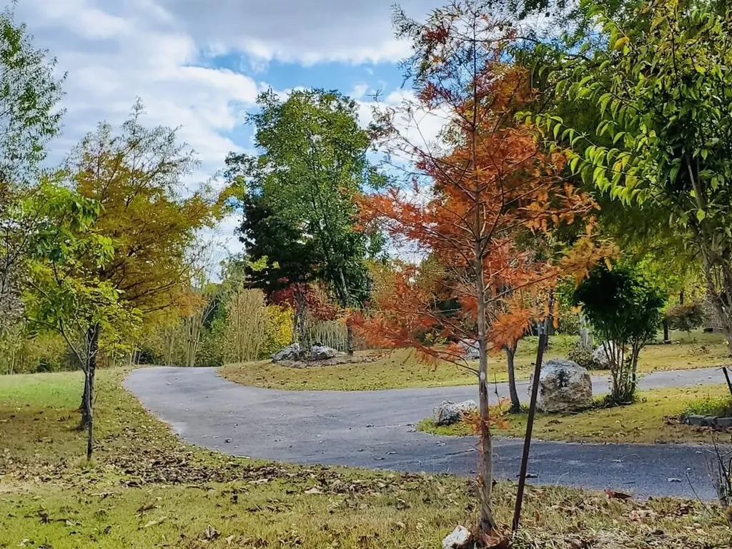 1751 County Road 50 Riceville TN 37370