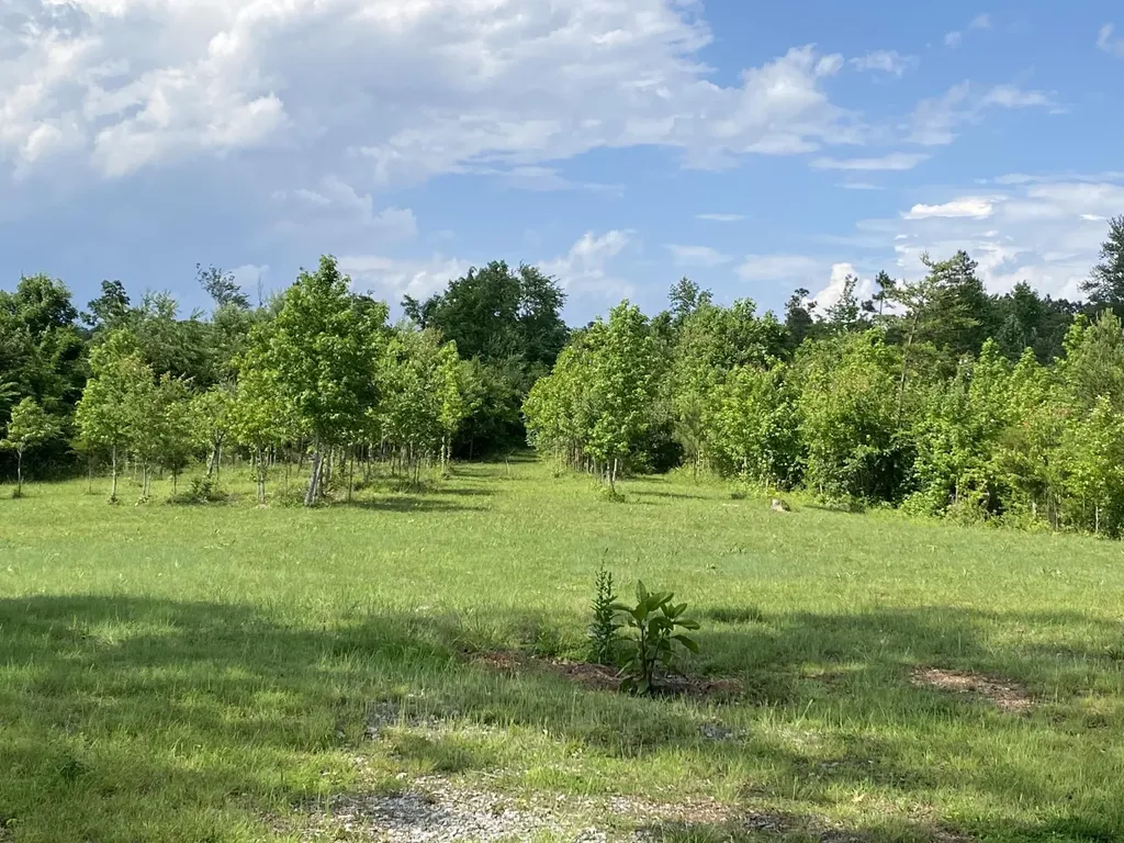 1751 County Road 50 Riceville TN 37370