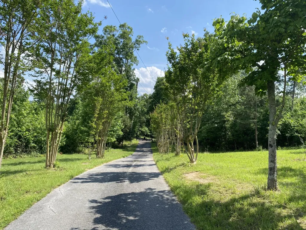 1751 County Road 50 Riceville TN 37370