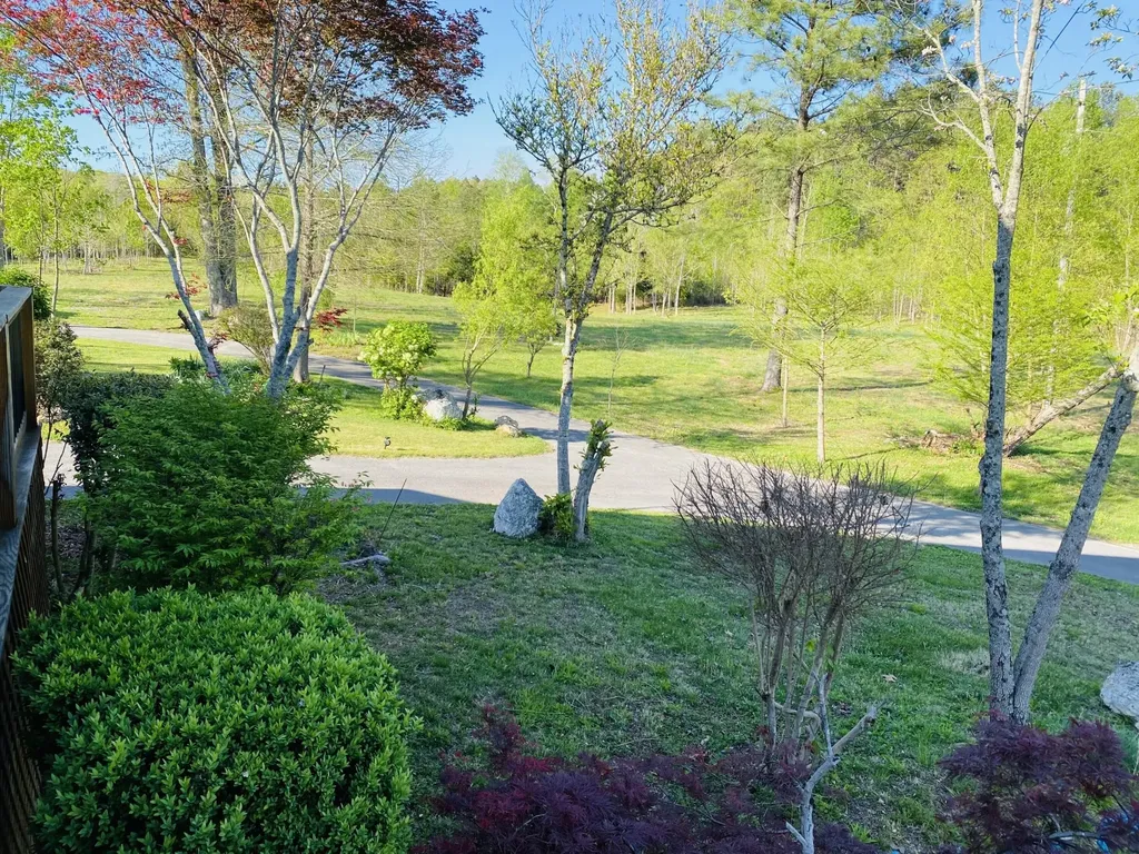 1751 County Road 50 Riceville TN 37370