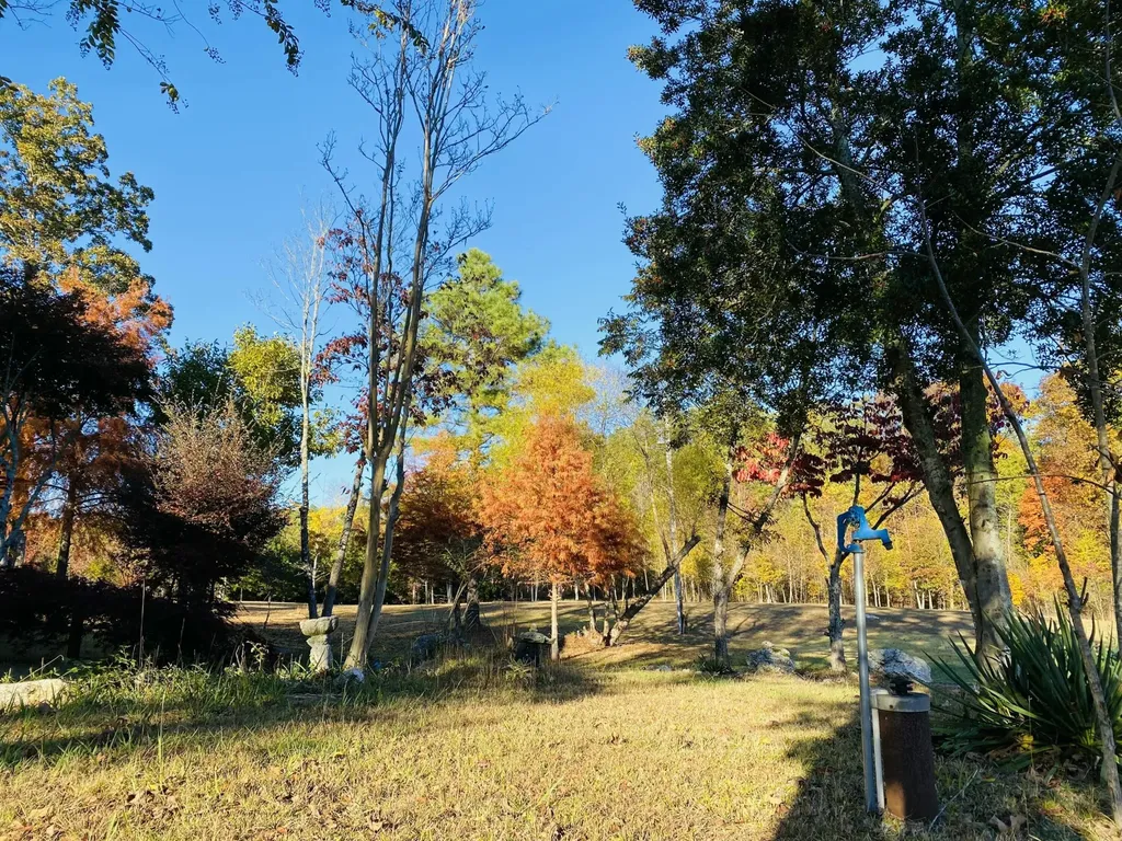 1751 County Road 50 Riceville TN 37370