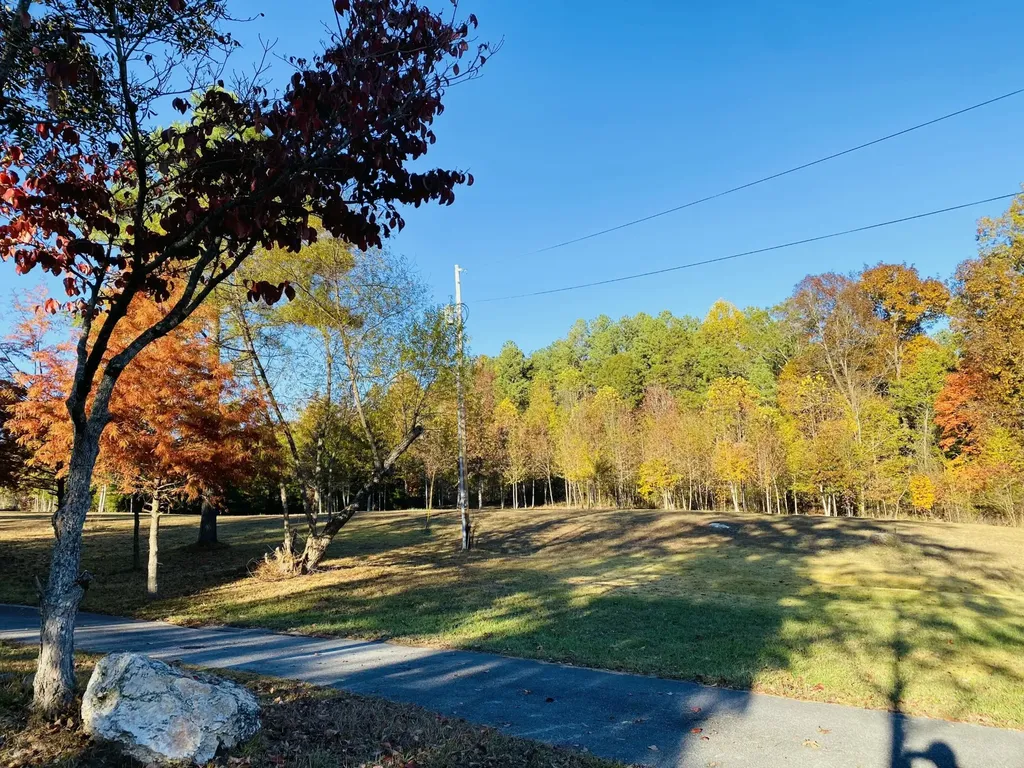 1751 County Road 50 Riceville TN 37370