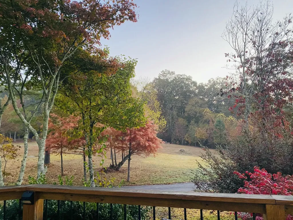 1751 County Road 50 Riceville TN 37370