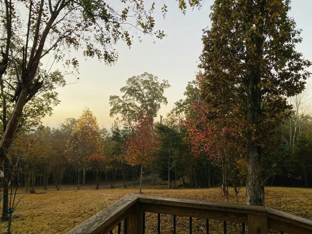 1751 County Road 50 Riceville TN 37370