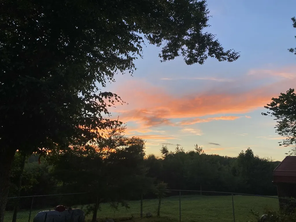 1751 County Road 50 Riceville TN 37370