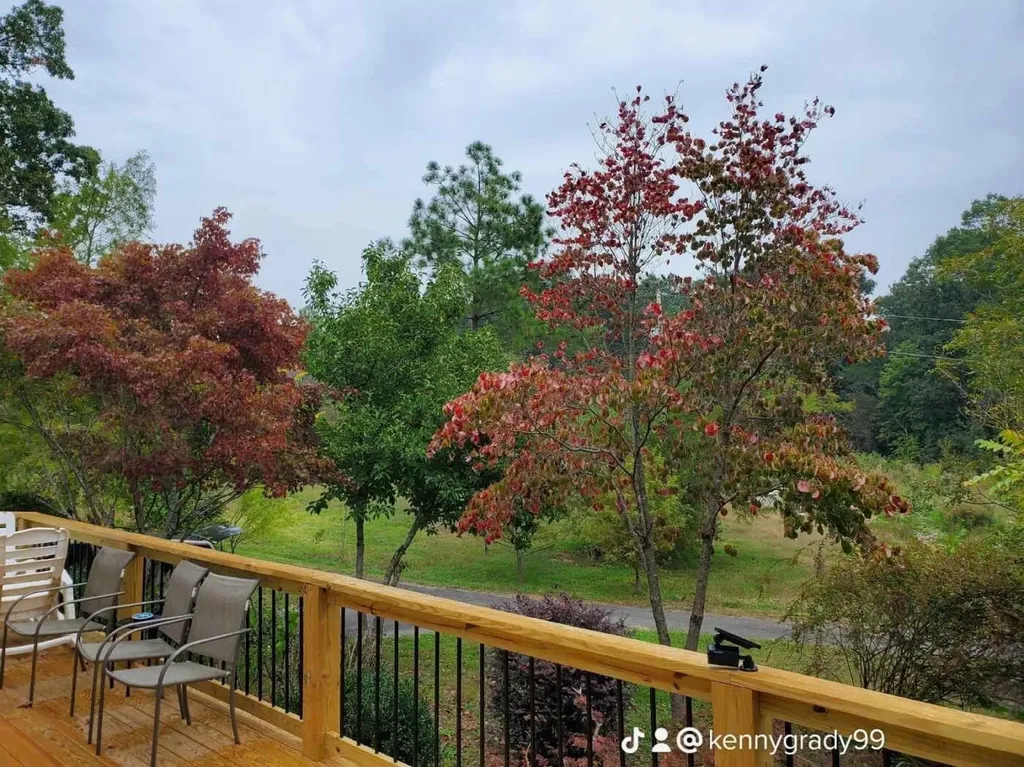 1751 County Road 50 Riceville TN 37370