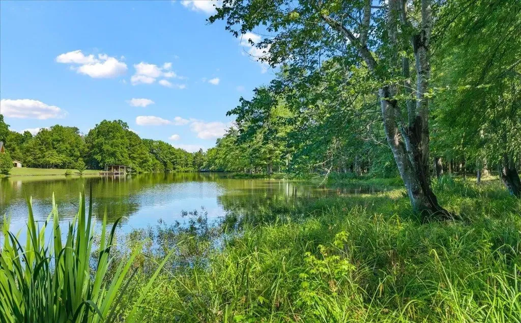 132 Hatt Lane Rockwood TN 37854
