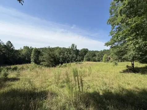 162 Tracy Road Hohenwald TN 38462