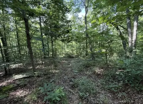 162 Tracy Road Hohenwald TN 38462