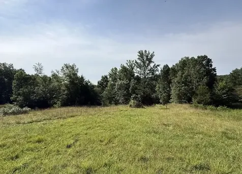 162 Tracy Road Hohenwald TN 38462