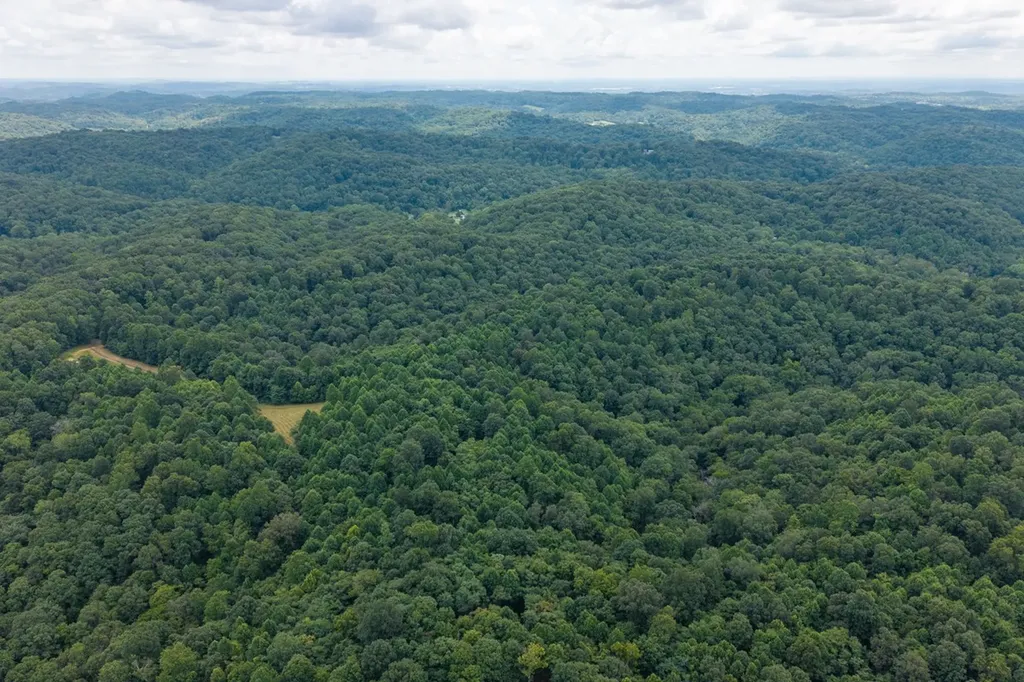 2342 Claylick Road Whites Creek TN 37189