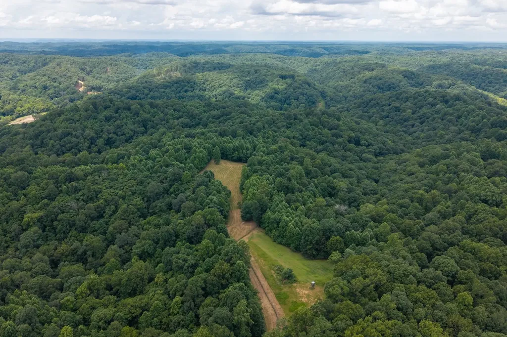 2342 Claylick Road Whites Creek TN 37189