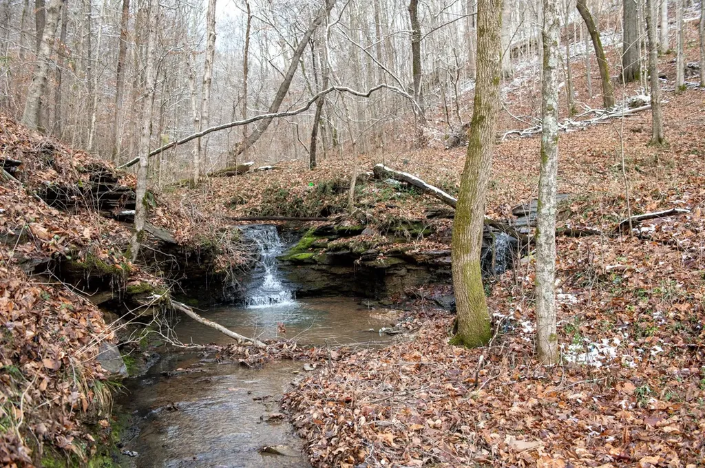 2342 Claylick Road Whites Creek TN 37189