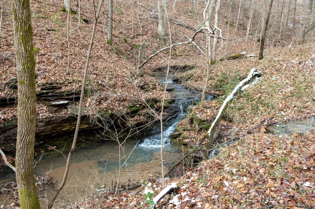 2342 Claylick Road Whites Creek TN 37189