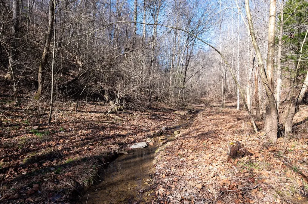 2342 Claylick Road Whites Creek TN 37189