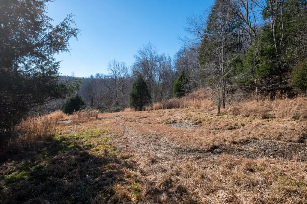 2342 Claylick Road Whites Creek TN 37189