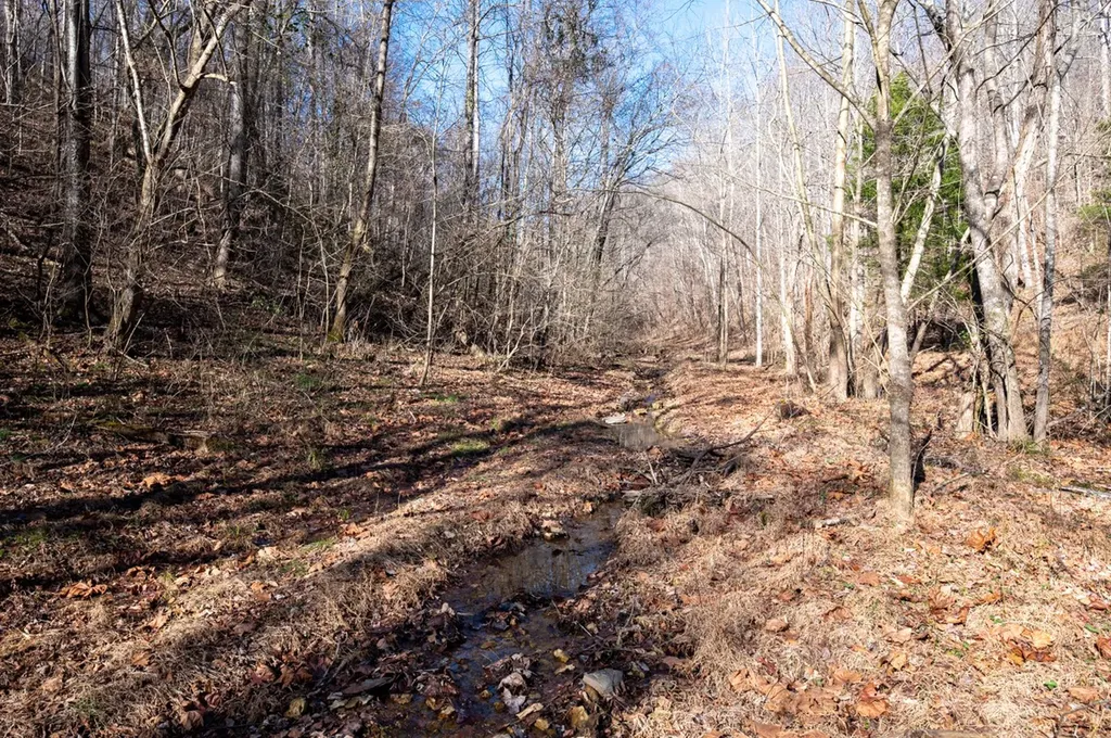 2342 Claylick Road Whites Creek TN 37189