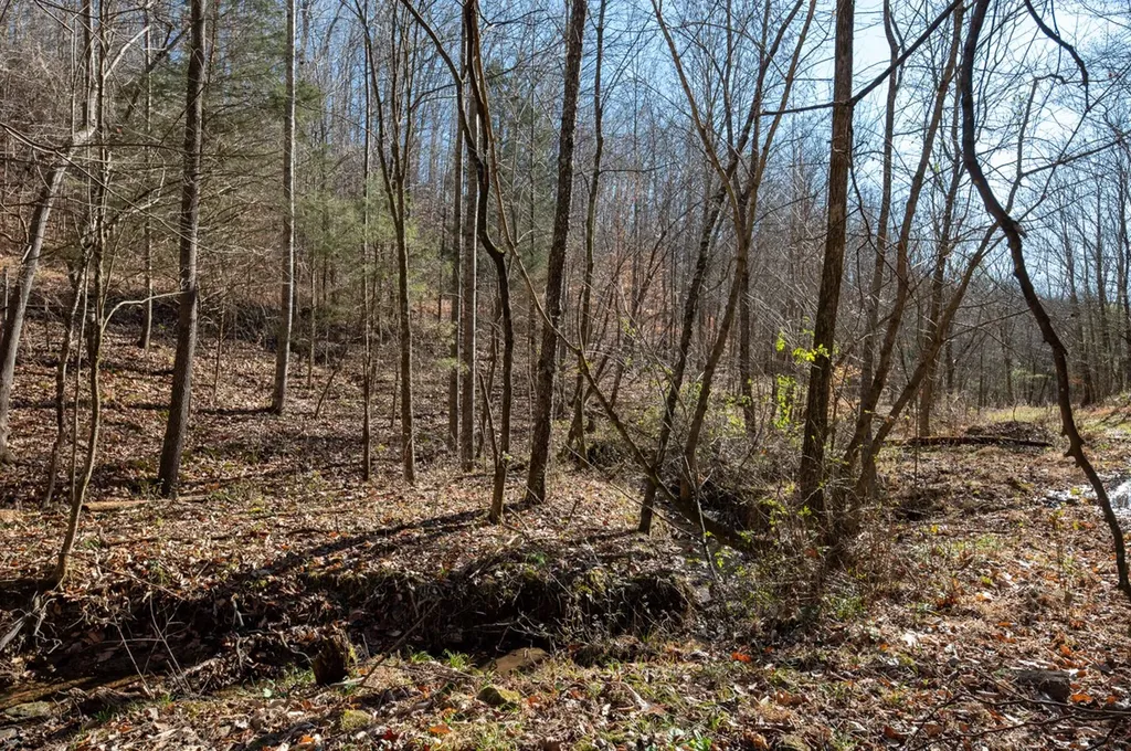 2342 Claylick Road Whites Creek TN 37189