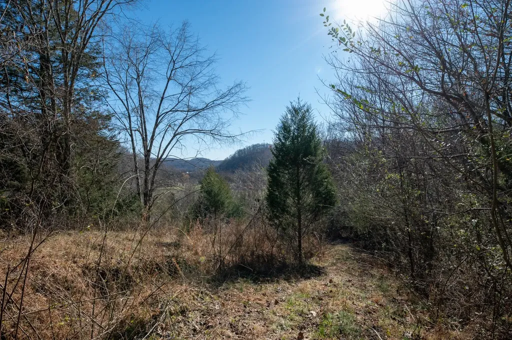 2342 Claylick Road Whites Creek TN 37189