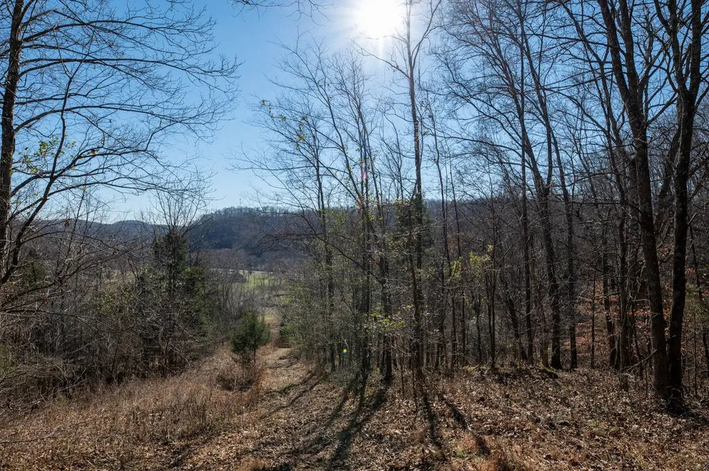 2342 Claylick Road Whites Creek TN 37189