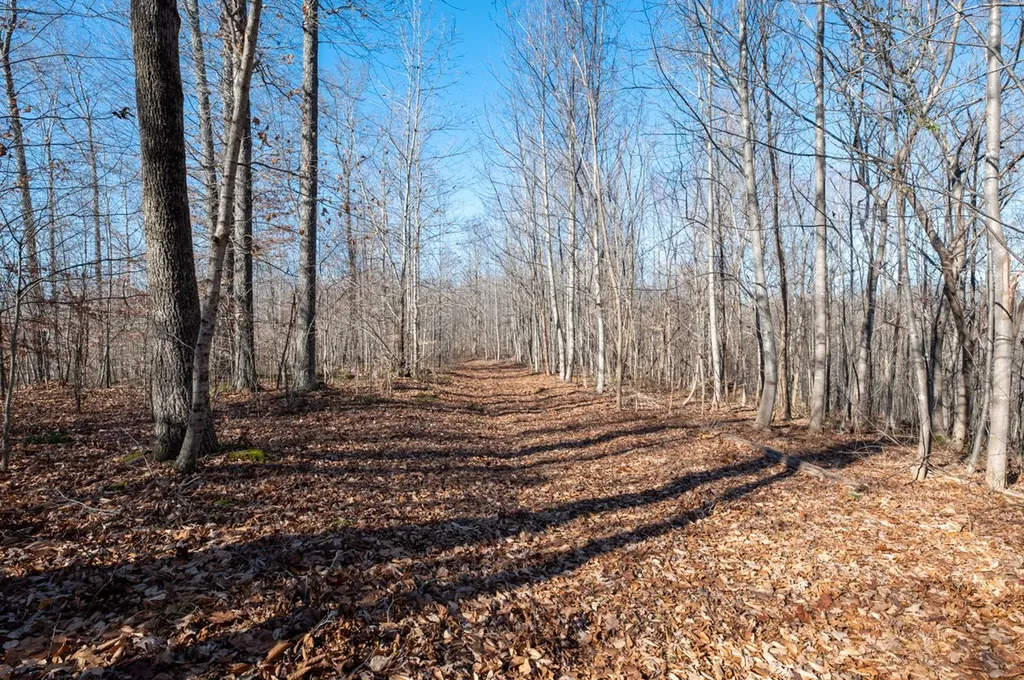 2342 Claylick Road Whites Creek TN 37189