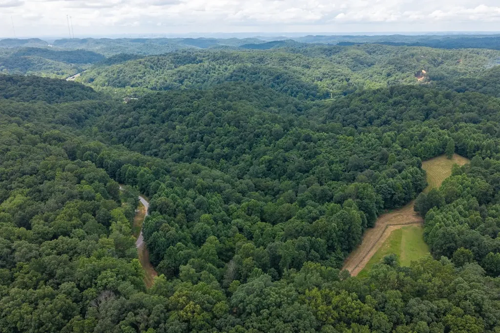 2342 Claylick Road Whites Creek TN 37189