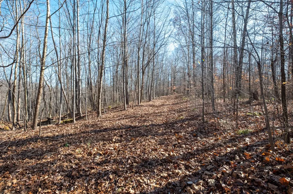 2342 Claylick Road Whites Creek TN 37189