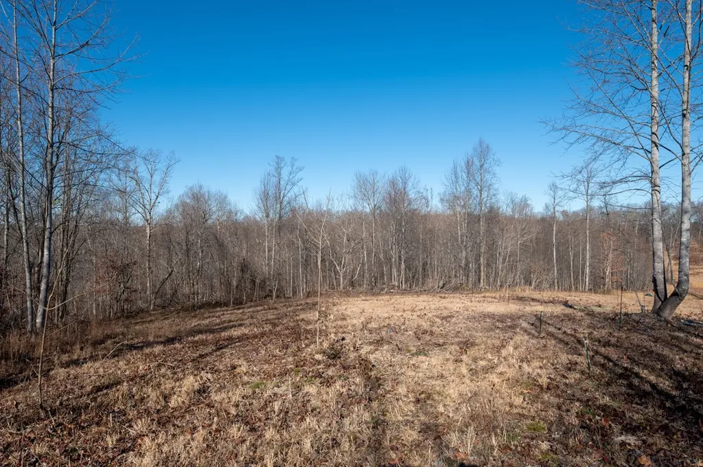 2342 Claylick Road Whites Creek TN 37189