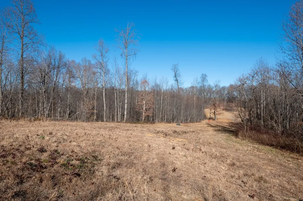 2342 Claylick Road Whites Creek TN 37189