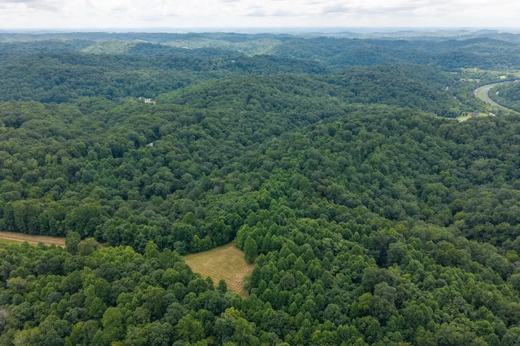 2342 Claylick Road Whites Creek TN 37189