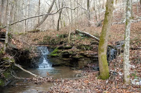 2342 Claylick Road Whites Creek TN 37189