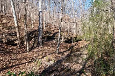 2342 Claylick Road Whites Creek TN 37189