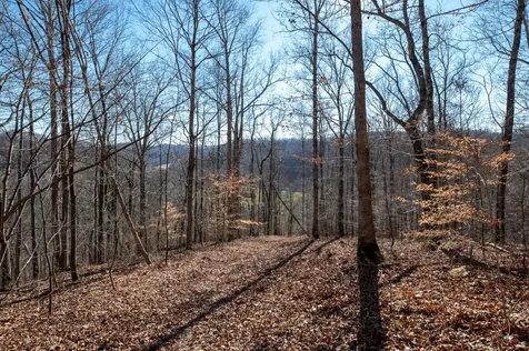 2342 Claylick Road Whites Creek TN 37189