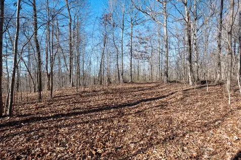 2342 Claylick Road Whites Creek TN 37189