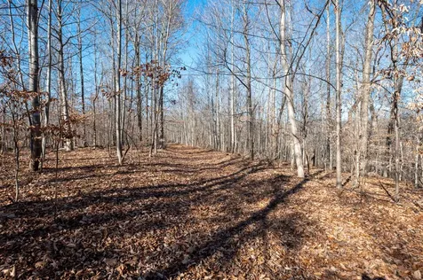 2342 Claylick Road Whites Creek TN 37189