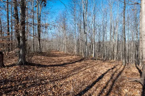2342 Claylick Road Whites Creek TN 37189