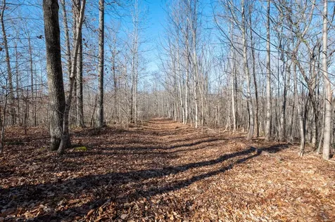 2342 Claylick Road Whites Creek TN 37189