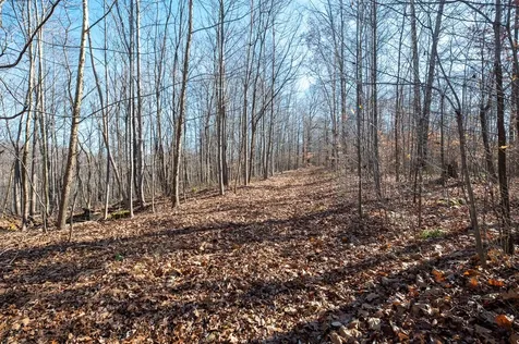 2342 Claylick Road Whites Creek TN 37189