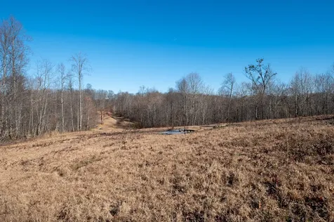 2342 Claylick Road Whites Creek TN 37189